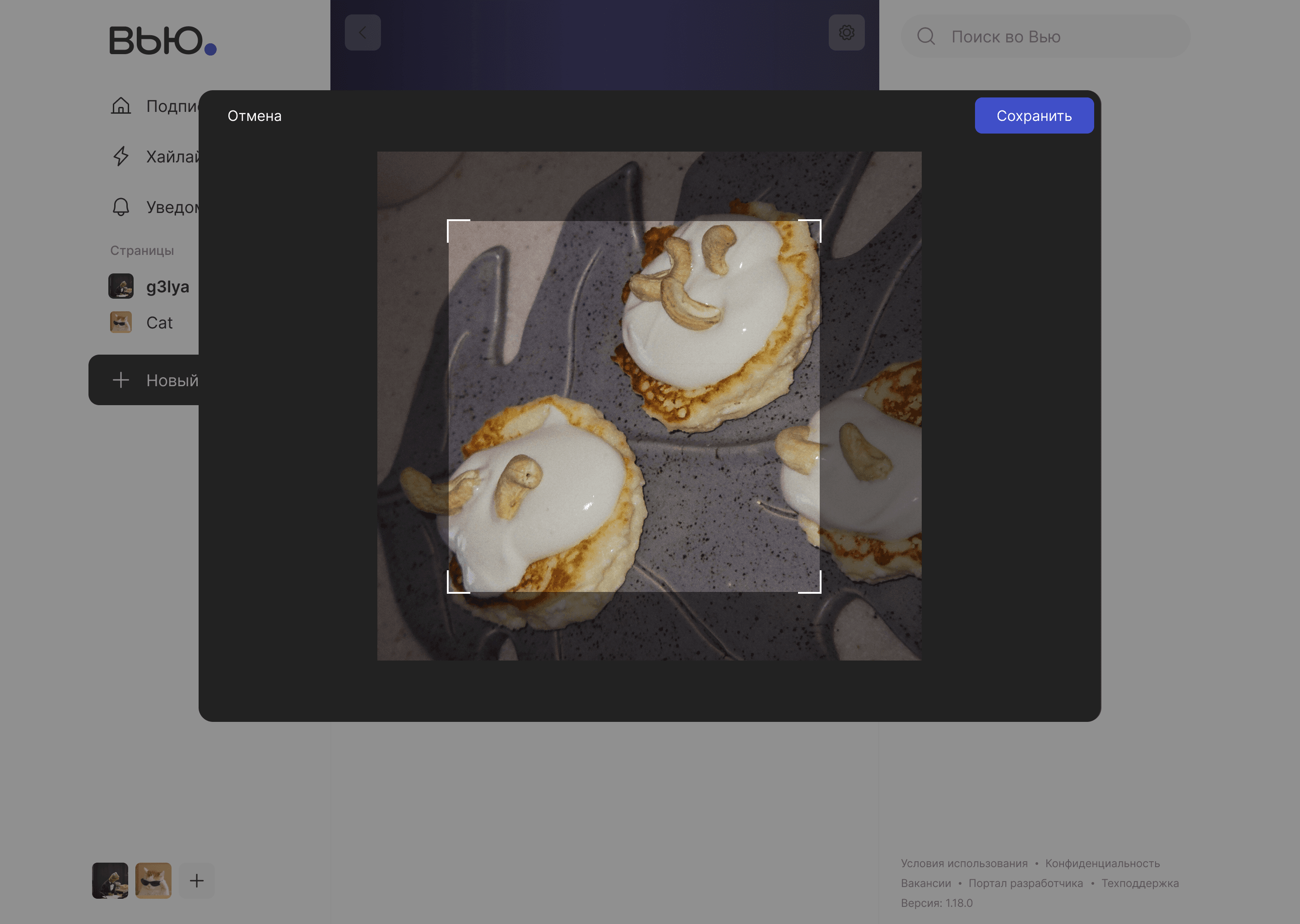 Вью.ру profile with an image editing dialog